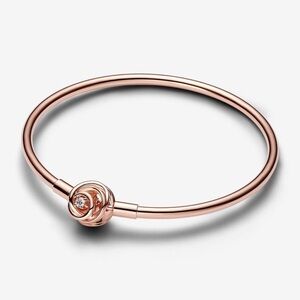 Pandora Rose Gold Charm Bracelet